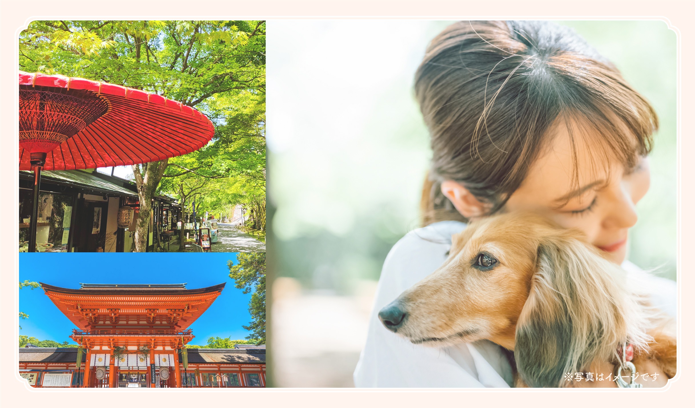 送迎サービスや貸切観光も可能な「ペットタクシー レオン」。京都市中京区で当日予約可能です。